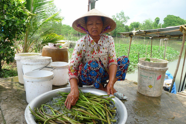 Cần[-]Thơ:[-]Lạ[-]đời[-]chuyện[-]dân[-]lấy[-]nước[-]máy[-]dội[-]bồn[-]cầu,[-]múc[-]nước[-]sông…[-]nấu[-]ăn
